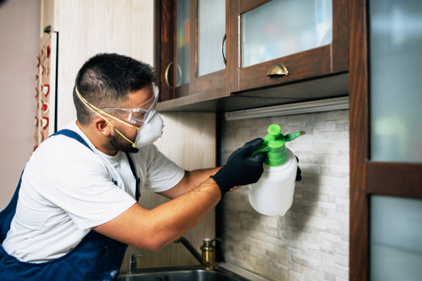Pest Control Cost in Clearwater, SC