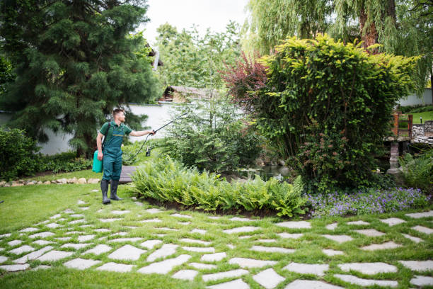 Best Best Pest Control Companies  in Clearwater, SC