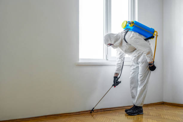 Best Mosquito Control Services  in Clearwater, SC