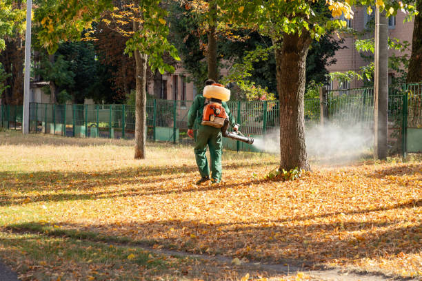 Clearwater, SC Pest Control Company