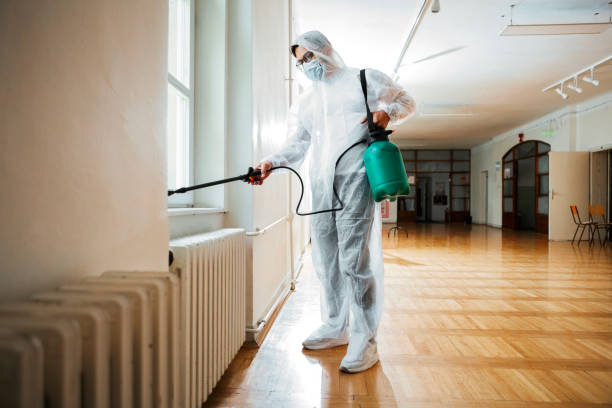 Best Local Pest Control Services  in Clearwater, SC